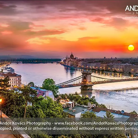 Anabelle Bed And Budapest