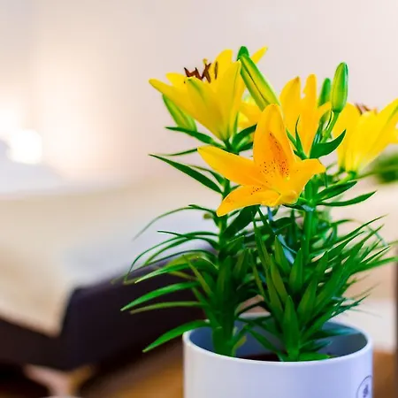 Anabelle Bed And Bed & Breakfast 4*